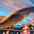 Game of Thrones Season Premiere party at AMNH NYC 2014